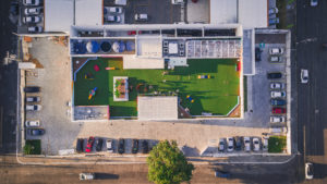 Mundo Pet realiza ações de natal para ajudar ONGs e promover diversão entre pets e seus tutores