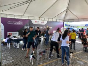 O Maior Evento de Adoção do Ceará