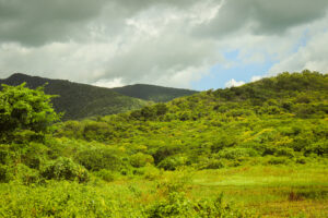 Aliada às práticas ESG, Sou Energy investe na preservação ambiental do patrimônio natural cearense