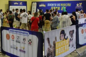 Maior Feira de Adoção do Ceará promovida por Bichomania e FCNB foi sucesso de adoções