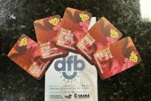 DFB Festival 2023 encerra edição histórica com mais de 40 mil pessoas celebrando a moda nacional