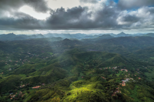 Confira as ações ambientais do 25° Festival Jazz & Blues