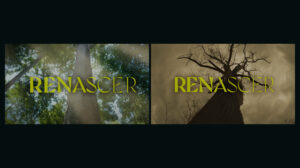 Com abertura inédita, Renascer vai ao ar com chamado de Boticário para consciência ambiental