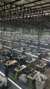 Legado: Greenish celebra 32 anos de mercado