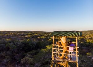 Associação Caatinga celebra 26 anos de atuação em prol da conservação do bioma Caatinga