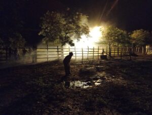 Festival Curta Canoa celebra 14ª edição em novo espaço cultural de Aracati/CE