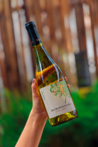 Winn Beach Club apresenta nova carta de vinhos e espumantes