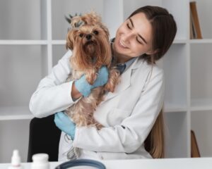 Médicos veterinários cearenses encontram oportunidades nos EUA com salários atrativos e acesso ao green card