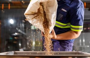 Do Grão ao Gole: Ambev lança congresso inédito sobre a cadeia produtiva e cultural da cerveja