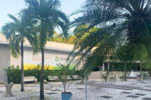 Dia nacional da pessoa idosa: unidade de desospitalização da Sesa, Casa de Cuidados do Ceará tem metade do público formada por idosos