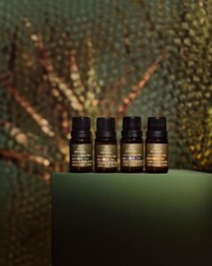 Ano novo, novos rituais: Natura Bothânica convida a transformar metas em bem-estar