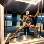 Pré-estreia da exposição internacional Human Bodies movimenta o Shopping Iguatemi Bosque