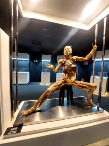 Pré-estreia da exposição internacional Human Bodies movimenta o Shopping Iguatemi Bosque