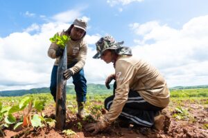 Dia Nacional da Caatinga reforça alerta sobre impactos das mudanças climáticas no bioma