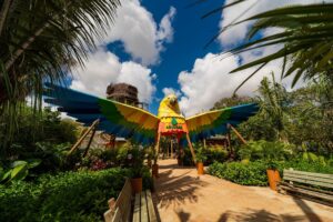 Dia da Família no Parque Arvorar, do Beach Park, terá oficina de mandala, quiz interativo e atividades lúdicas para todas as idades