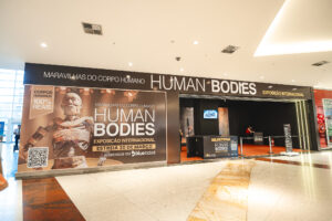 “Human Bodies – Maravilhas do Corpo Humano” entra nos últimos dias no Iguatemi Bosque com promoção de meia-entrada para todos