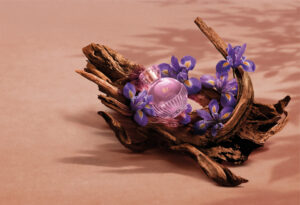Com ingrediente raro da perfumaria internacional, O Boticário redefine o amadeirado feminino no lançamento de Liz D’Essence