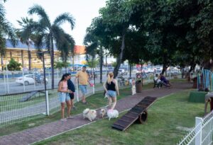 Espaços de lazer gratuitos para pets ganham destaque em Fortaleza