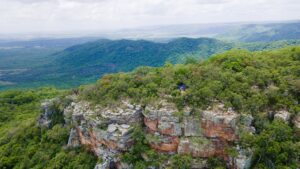 Dia de Proteção às Florestas destaca a importância da Caatinga para o equilíbrio ambiental