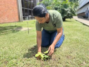 Cerbras reforça compromisso com a preservação ambiental no Dia Mundial de Proteção às Florestas