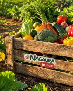 Quer comer sem agrotóxicos? Feira personalizadas chegam à porta de casa