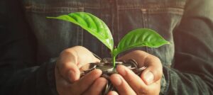 Sicredi amplia crédito para economia verde e alcança R$ 98,2 bilhões em 2025