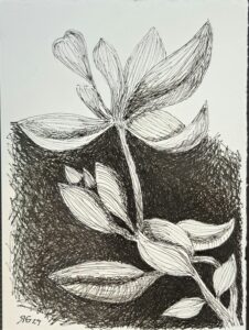 Exposição “UNA”, de Roberto Galvão, reúne 114 obras no Museu da Cultura Cearense, do Centro Dragão do Mar de Arte e Cultura