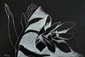Roberto Galvão abre neste sábado (29), às 10h, a exposição “UNA”