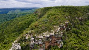 Caatinga se destaca como aliada no combate às mudanças climáticas