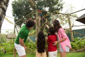 Setembro Amarelo: contato com a natureza surge como antídoto para o estresse e aliado da saúde mental