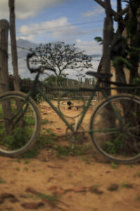 QXAS Festival reúne exposições, workshops e palestras em Quixadá e Quixeramobim sob o tema “O que a Terra não Esquece”