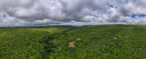 Associação Caatinga abre inscrições para curso gratuito de Restauração Ecológica da Caatinga